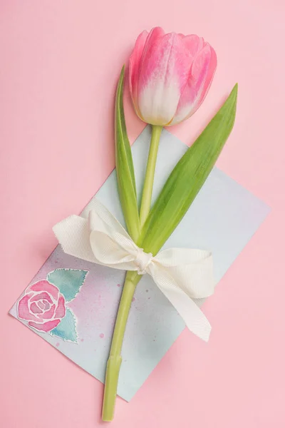 Tulipán Rosa Con Lazo Blanco Tarjeta Felicitación Del Día Las —  Fotos de Stock