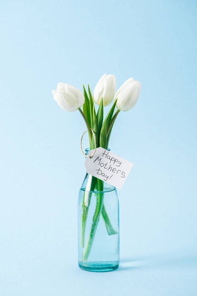 bouquet of white tulips in glass vase with happy mothers day greeting label on blue background