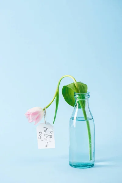 白色郁金香在透明玻璃花瓶与快乐的母亲天问候标签在蓝色背景 — 图库照片