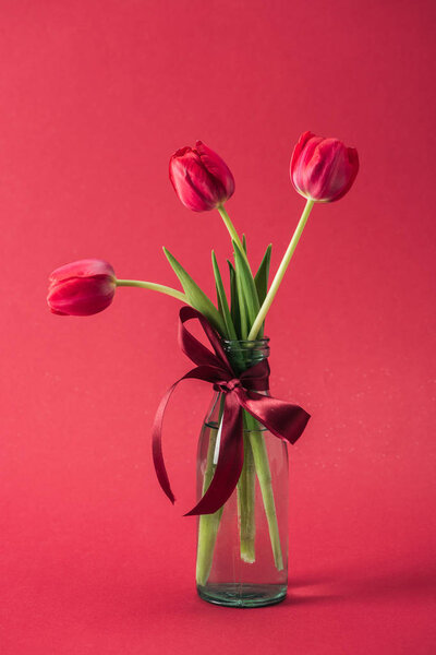 bouquet of red tulips with red satin bowl in glass vase on red background