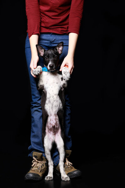 cropped view of woman with dark dog on hind legs isolated on black