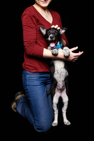 Обрезанный Вид Женщины Джинсах Красный Свитер Собакой Воротнике Задних Ногах — стоковое фото