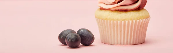 Plano Panorámico Magdalena Dulce Con Uvas Superficie Rosa — Foto de Stock