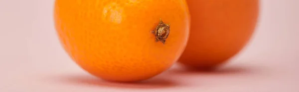 Panoramic Shot Ripe Kumquats Pink Surface — Stock Photo, Image