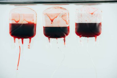 beyaz izole paketlenmiş hücreleri ile plastik kan torbaları