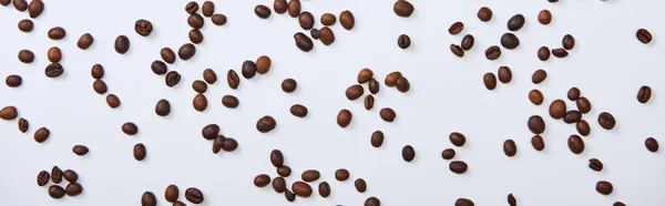 白い背景に散らばったコーヒー豆のトップビュー パノラマショット — ストック写真