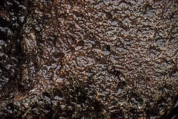 Вид Зверху Текстурованої Поверхні Мокрого Коричневого Каменю — стокове фото