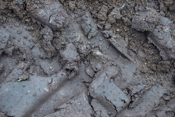 top view of grey textured dry mud seamless background