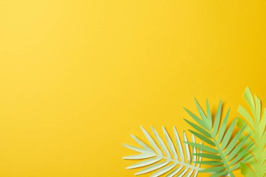 kopya alanı ile sarı arka plan üzerinde kağıt kesim egzotik yeşil palmiye yaprakları üst görünümü