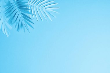mavi minimalist kağıt kesme palmiye kopya alanı ile mavi arka plan üzerinde yaprakları
