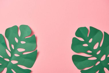 kopya alanı ile pembe arka plan üzerinde yeşil palmiye yaprakları üst görünümü