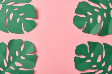 kopya alanı ile pembe arka plan üzerinde yeşil palmiye yaprakları üst görünümü