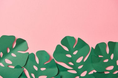 kopya alanı ile pembe arka plan üzerinde yeşil palmiye yaprakları üst görünümü