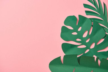 kopya alanı ile pembe arka plan üzerinde yeşil palmiye yaprakları üst görünümü