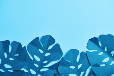 mavi minimalist kağıt kesme avuç içi üst görünümü kopya alanı ile mavi arka plan üzerinde yaprakları