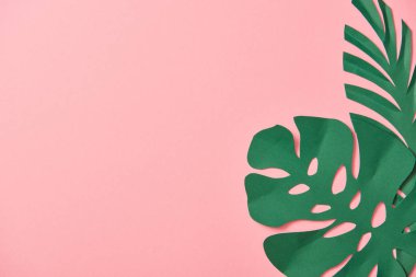 kopya alanı ile pembe arka plan üzerinde yeşil palmiye yaprakları üst görünümü