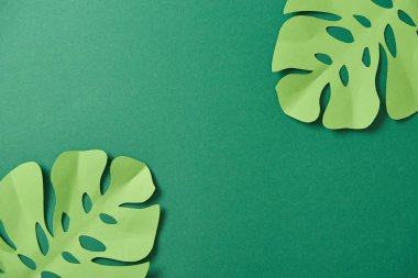 kopya alanı ile yeşil arka plan üzerinde egzotik kağıt kesilmiş palmiye yaprakları üst görünümü