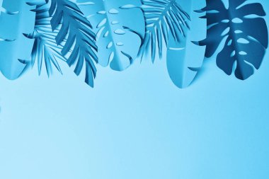 kopya alanı ile mavi arka plan üzerinde mavi egzotik kağıt kesme palmiye yaprakları üst görünümü