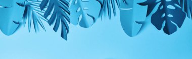 kopya alanı ile mavi arka plan üzerinde mavi egzotik kağıt kesme palmiye yaprakları üst görünümü, panoramik çekim