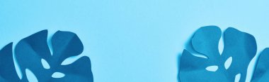 kopya alanı ile mavi arka plan üzerinde mavi egzotik kağıt kesme palmiye yaprakları üst görünümü, panoramik çekim