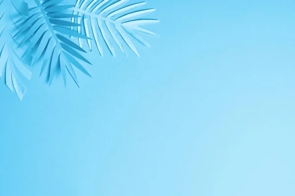 Синій Мінімалістичний Папір Вирізає Листя Долоні Синьому Фоні Пробілом Копіювання — стокове фото