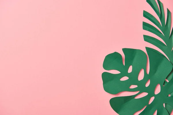 Вид Сверху Зеленые Пальмовые Листья Розовом Фоне Копировальным Местом — стоковое фото