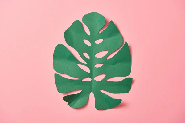 Top View Green Palm Leaf Pink Background Copy Space — Stock Photo, Image