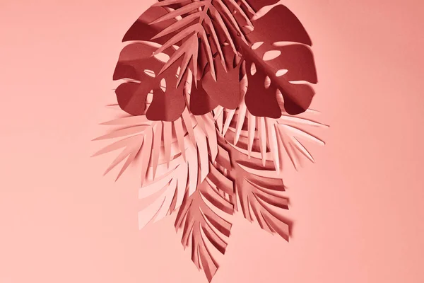 Верхний Вид Бумаги Срезанные Пальмовые Листья Розовом Фоне — стоковое фото