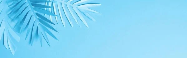 Top View Blue Exotic Paper Cut Palm Leaves Blue Background — Stock Photo, Image