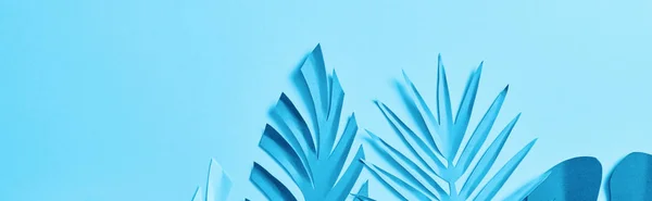 Top View Blue Exotic Paper Cut Palm Leaves Blue Background — Stock Photo, Image