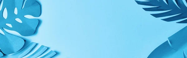 Вид Зверху Синій Екзотичний Папір Вирізає Пальмове Листя Синьому Фоні — стокове фото