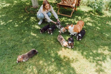 yeşil çim üzerinde galler corgi yavru ile sarışın kız havai görünümü