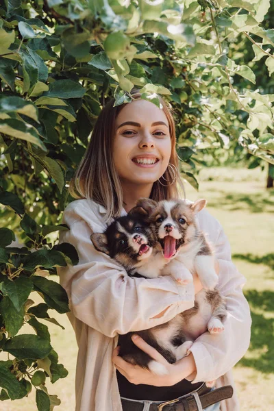 Feliz Rubia Chica Celebración Lindo Cachorros Jardín Cerca Verde Árbol — Foto de Stock