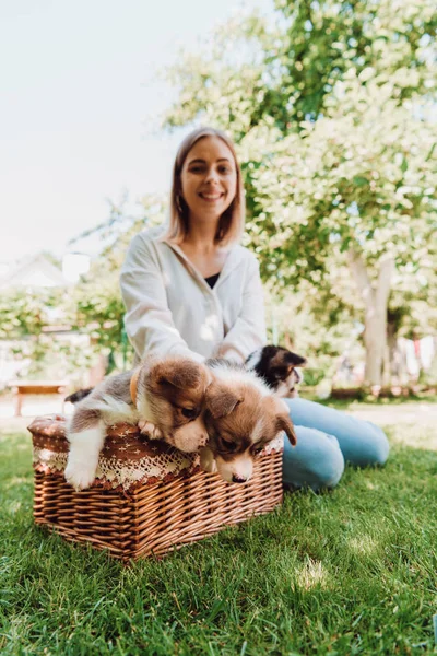 Selective Focus Happy Blonde Girl Sitting Green Garden Wicker Box — Stock Photo, Image