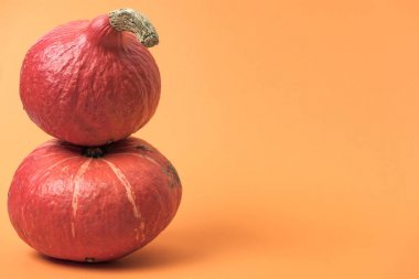 turuncu arka planda olgun bütün kabaklar