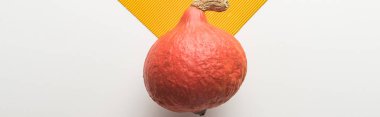 top view of ripe pumpkin on white and orange background, panoramic shot clipart