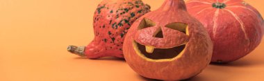 turuncu arka plan üzerinde ürkütücü dekoratif Halloween Halloween kabaklar, panoramik çekim