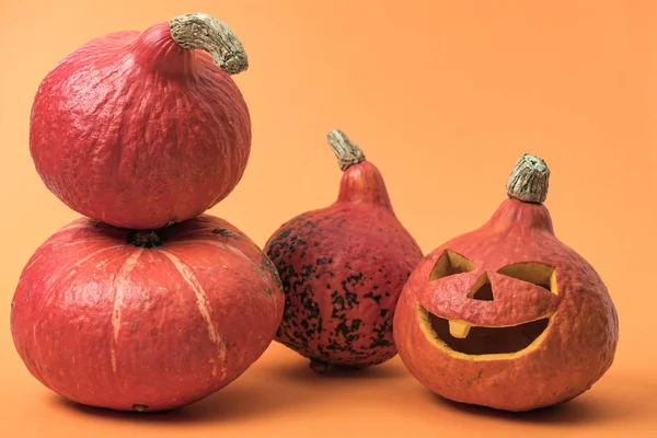 Zralé Halloweenské Dýně Oranžovém Pozadí — Stock fotografie