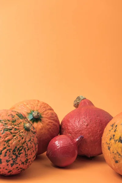 Calabazas Naturales Maduras Sobre Fondo Naranja — Foto de Stock