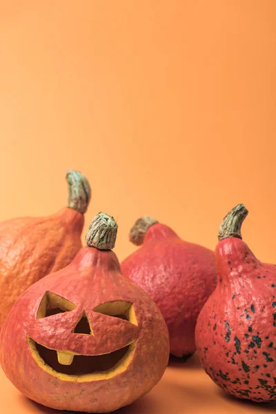 Espeluznantes Calabazas Decorativas Halloween Sobre Fondo Naranja — Foto de Stock