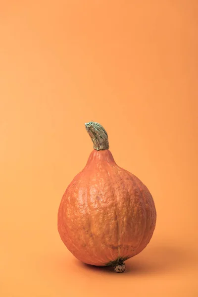 Calabaza Fresca Temporada Sobre Fondo Naranja Con Espacio Para Copiar — Foto de Stock