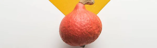 Érett Sütőtök Fehér Narancssárga Háttérrel Felülnézetben Panorámafelvétel — Stock Fotó