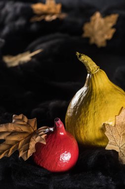 siyah arka plan üzerinde akçaağaç kuru sarı yaprakları yakınında olgun kabaklar