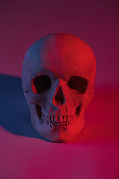 spooky human skull in red lighting, Halloween decoration