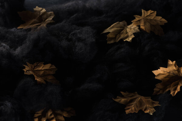 dry yellow foliage in black clouds, Halloween decoration