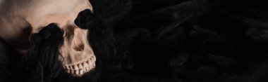 siyah kara bulutlar ile ürkütücü insan kafatası panoramik çekim, Cadılar Bayramı dekorasyon