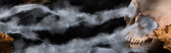 panoramic shot of spooky human skull with yellow leaves in black clouds, Halloween decoration