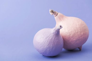 mor arka plan üzerinde pastel renkli boyalı kabaklar