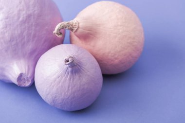 mor arka plan üzerinde pastel renkli boyalı kabaklar üst görünümü