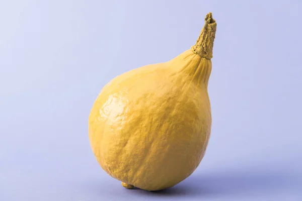 Žlutá Barevná Barvená Dýně Fialovém Pozadí — Stock fotografie